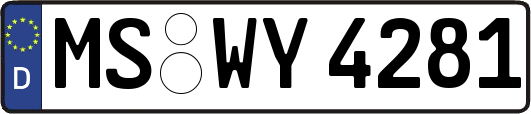 MS-WY4281
