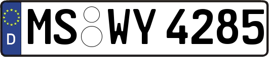 MS-WY4285