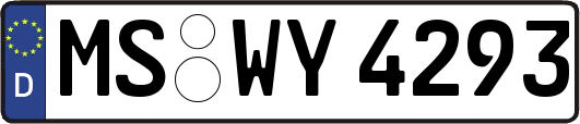 MS-WY4293