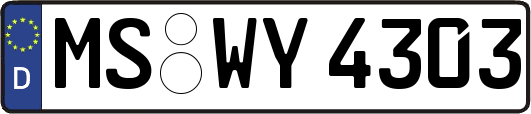 MS-WY4303