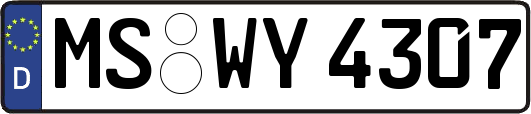 MS-WY4307