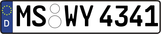 MS-WY4341
