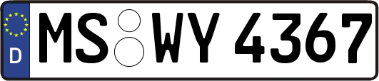 MS-WY4367