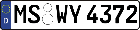 MS-WY4372