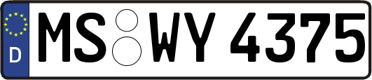 MS-WY4375