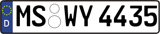 MS-WY4435