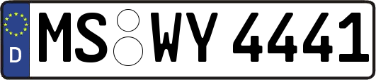 MS-WY4441