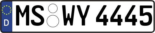MS-WY4445