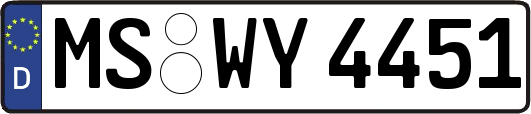 MS-WY4451