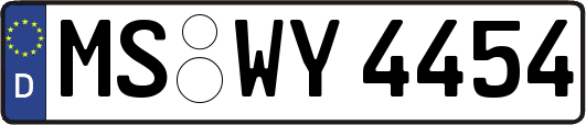MS-WY4454
