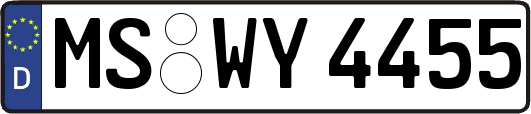 MS-WY4455