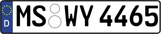 MS-WY4465