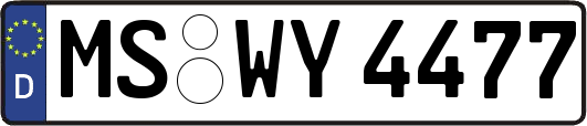 MS-WY4477