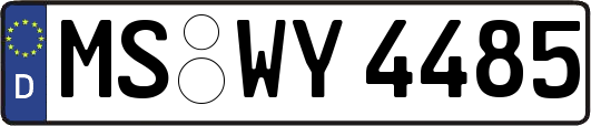 MS-WY4485