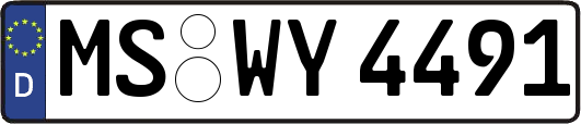 MS-WY4491