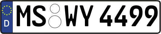 MS-WY4499