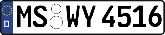 MS-WY4516