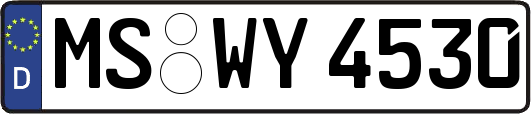 MS-WY4530