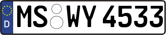 MS-WY4533