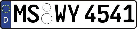 MS-WY4541