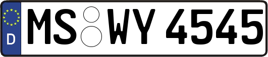 MS-WY4545