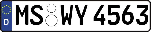 MS-WY4563