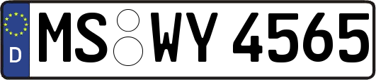 MS-WY4565