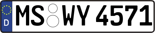 MS-WY4571