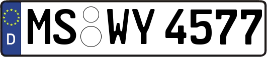 MS-WY4577