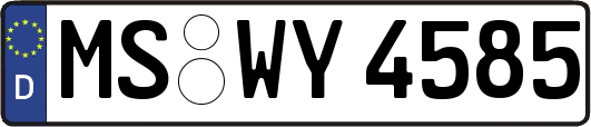 MS-WY4585