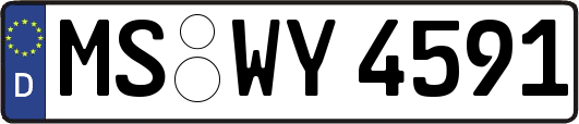 MS-WY4591