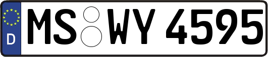 MS-WY4595