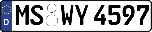 MS-WY4597