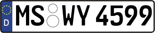 MS-WY4599