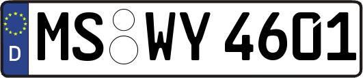 MS-WY4601