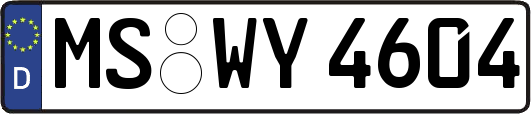 MS-WY4604