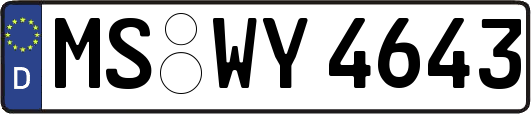 MS-WY4643