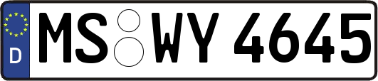 MS-WY4645