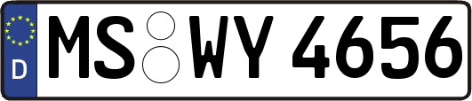 MS-WY4656