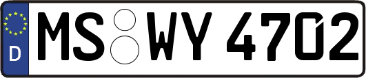 MS-WY4702