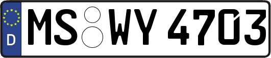 MS-WY4703