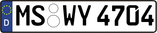 MS-WY4704