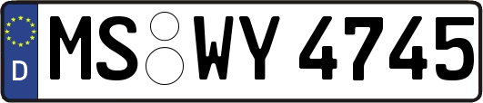 MS-WY4745