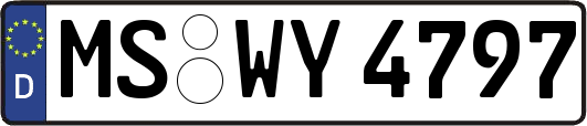 MS-WY4797