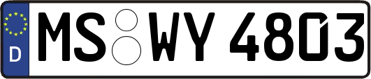 MS-WY4803