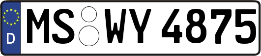 MS-WY4875