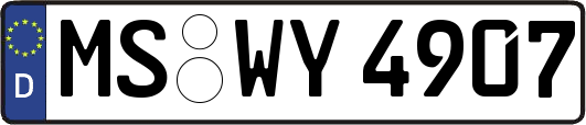 MS-WY4907