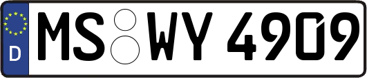 MS-WY4909
