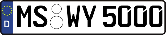MS-WY5000