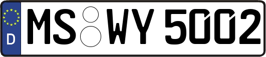 MS-WY5002